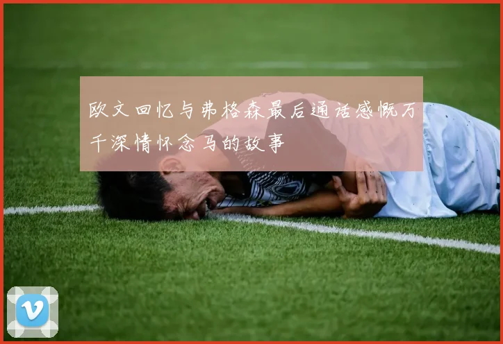 欧文回忆与弗格森最后通话感慨万千深情怀念马的故事