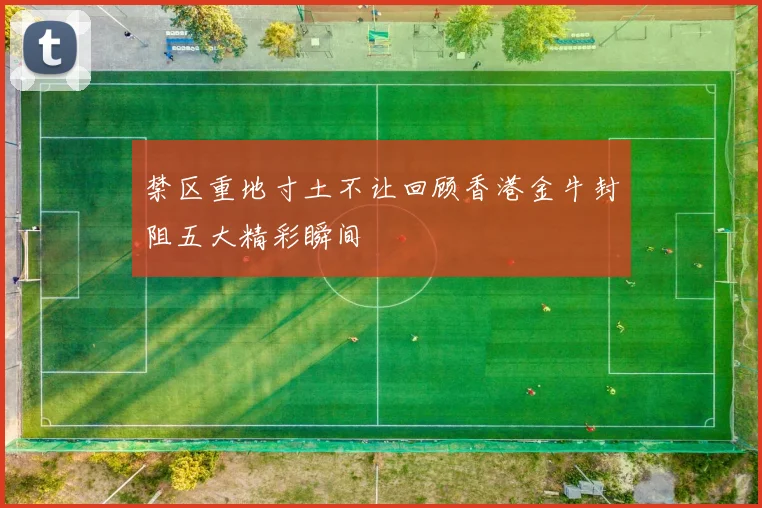 禁区重地寸土不让回顾香港金牛封阻五大精彩瞬间