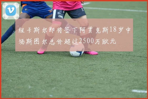 纽卡斯尔即将签下阿贾克斯18岁中场斯图尔总价超过2500万欧元