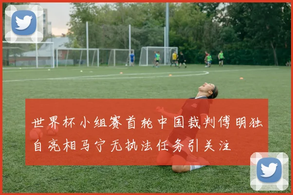 世界杯小组赛首轮中国裁判傅明独自亮相马宁无执法任务引关注